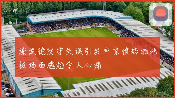 谢泼德防守失误引发申京愤怒拍地板场面尴尬令人心痛
